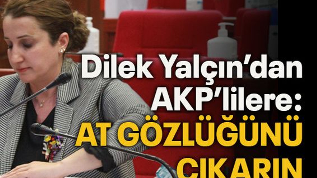 Dilek Yalçın AKP’lilere ‘at gözlüğünü çıkarın’ dedi